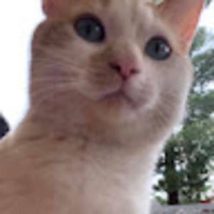 Meet your Posher, Mara